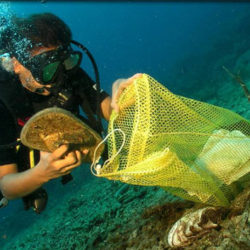 underwater_cleanup